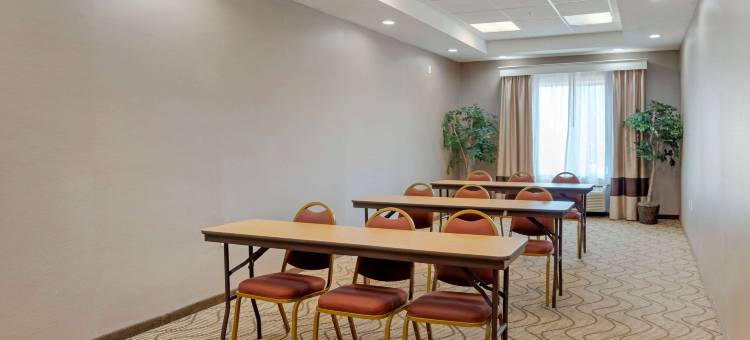 牛津 I-20 公路 188 号出口舒适全套房酒店(Comfort Suites Oxford I-20 Exit 188)图片