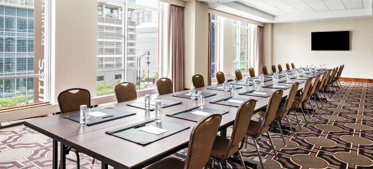 芝加哥麦考密克广场希尔顿花园酒店(Hilton Garden Inn Chicago McCormick Place)图片