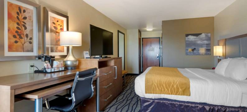 市场机场舒适酒店(Comfort Inn & Suites Market - Airport)图片