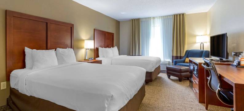 剑桥套房舒适酒店(Comfort Inn & Suites Cambridge)图片