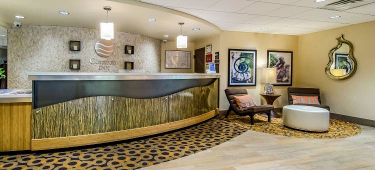 罗利城区舒适酒店(Comfort Inn Raleigh Midtown)图片