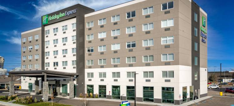 布兰顿智选假日套房酒店(Holiday Inn Express & Suites BRANDON by IHG)图片
