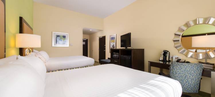 智选假日套房酒店迪克森城 - 斯克兰顿(Holiday Inn Express & Suites Dickson City - Scranton)图片