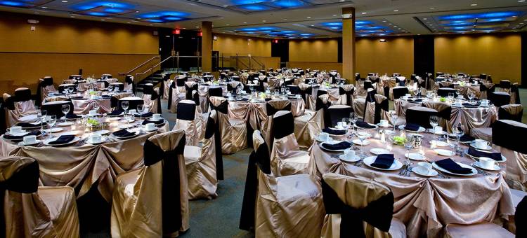 洲际旗下皇冠假日伦巴第唐纳斯格罗夫酒店(Crowne Plaza Lombard Downers Grove)图片