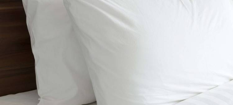 波斯特福尔斯红狮套房酒店(Red Lion Inn & Suites Post Falls)图片