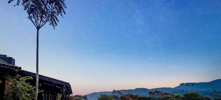 纽恩威之家(One&Only Nyungwe House)图片