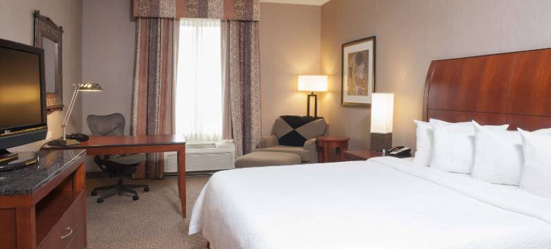 哥伦布爱丁堡希尔顿花园酒店(Hilton Garden Inn Columbus/Edinburgh)图片