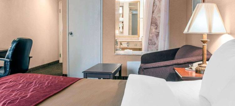 Wingate by Wyndham Livonia图片