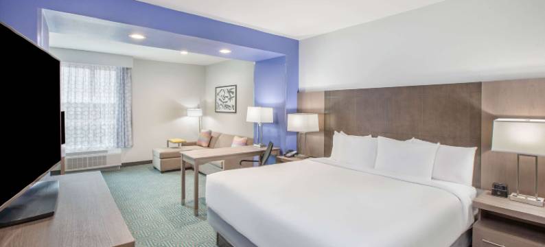 达拉斯邓肯维尔拉昆塔温德姆套房酒店(La Quinta Inn & Suites by Wyndham Dallas Duncanville)图片