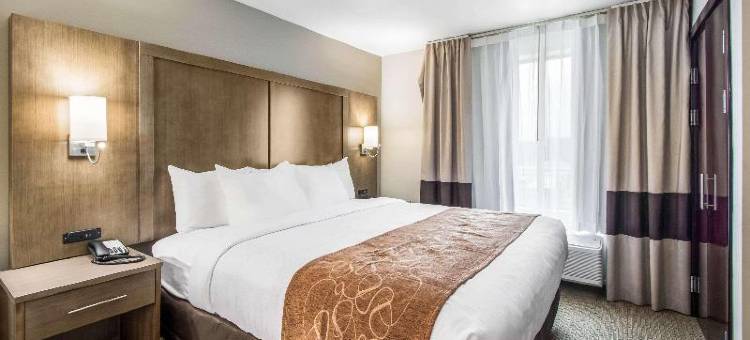 Comfort Suites图片