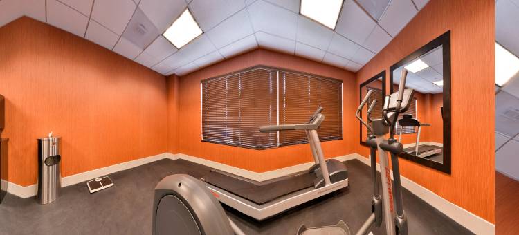 罗马琳达智选假日套房酒店(Holiday Inn Express & Suites Loma Linda- San Bernardino S)图片