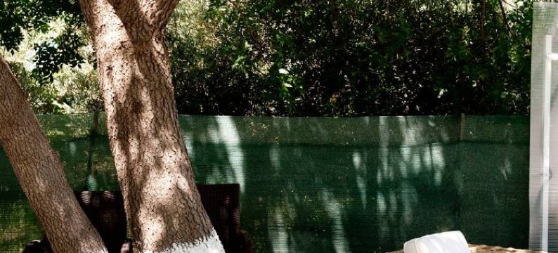 阿芙罗狄蒂萨摩高级开间及公寓(Aphrodite Samos Suites)图片