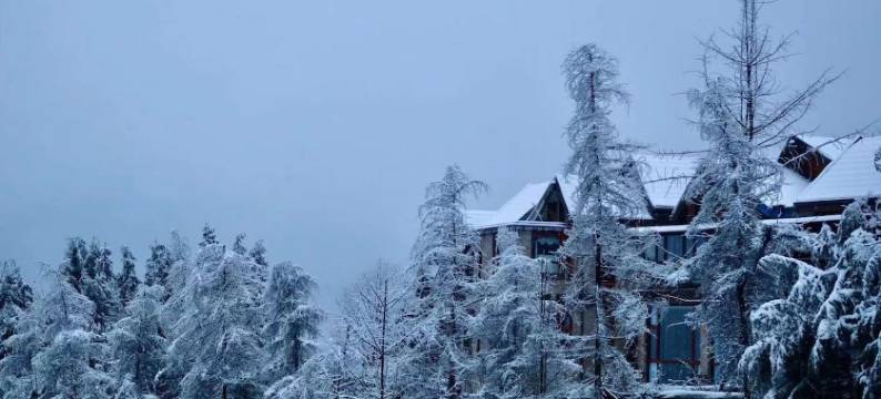 YAN2度假别墅(峨洪路1号分店)图片