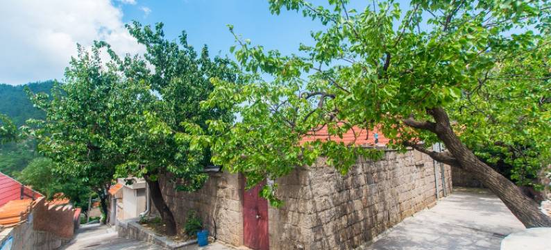 崂山小瑶度假别墅图片