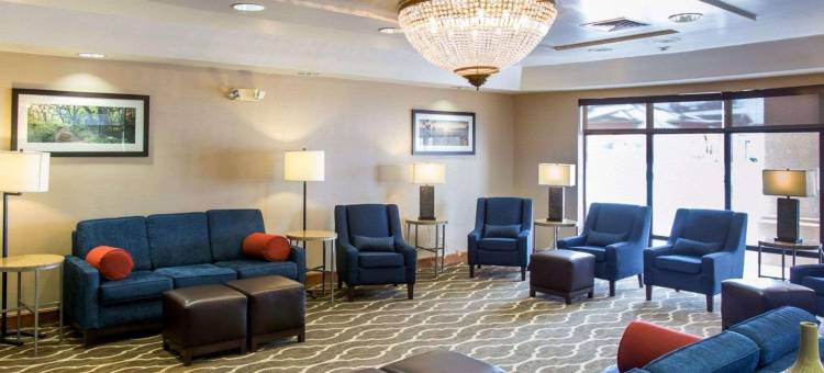 渥太华舒适酒店(Comfort Inn Ottawa)图片