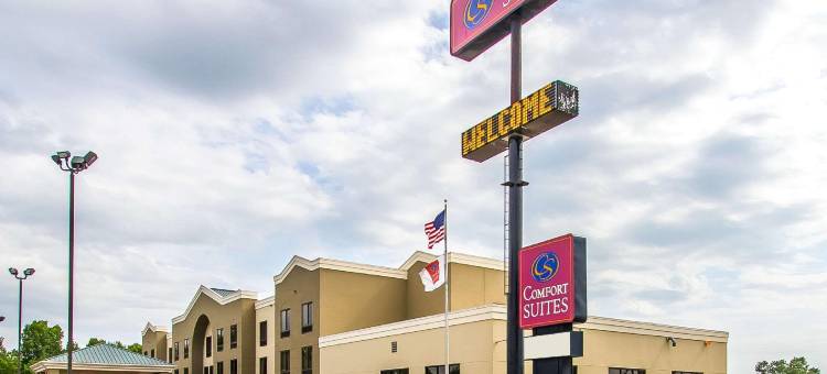 埃芬汉舒适套房酒店(Comfort Suites Effingham)图片