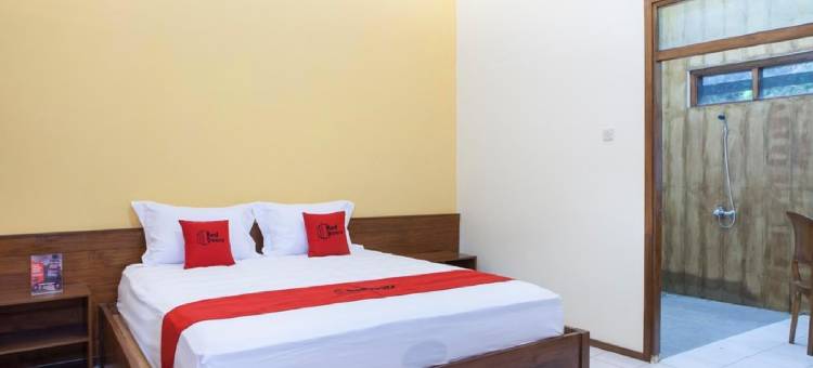 红多兹酒店-近巴鲁兰国家公园(RedDoorz Near Baluran National Park)图片