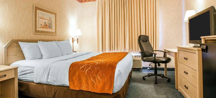皮奥里亚体育馆舒适套房酒店(Comfort Suites Peoria Sports Complex)图片