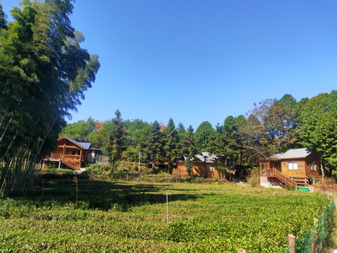 隐珠谷谷主度假别墅(苍马公路1号分店)