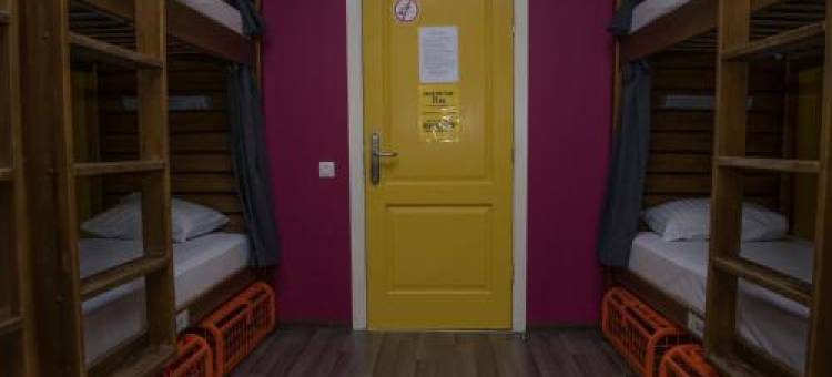 顽皮松鼠背包客旅舍(Naughty Squirrel Backpackers Hostel)图片