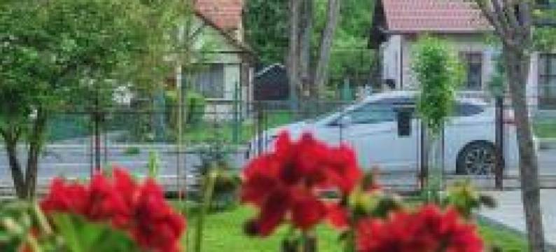 布尼西勒希奈亚度假屋(Casa Bunicilor Sinaia)图片