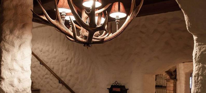 泰若乐尔霍夫高山酒店(Alpenhotel Tirolerhof)图片