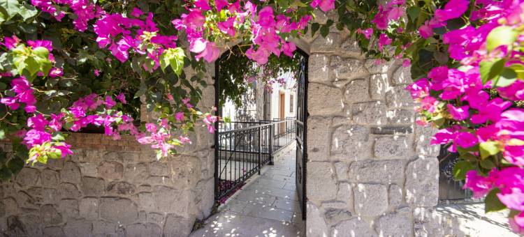 在博德鲁姆有后院的迷人房子(Enchanting House with Backyard in Bodrum)图片