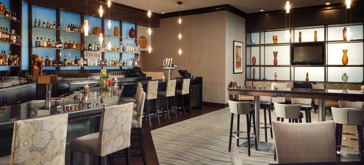 芝加哥奥黑尔罗斯蒙特希尔顿酒店(Hilton Rosemont Chicago O'Hare)图片
