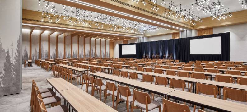 纳什维尔希尔顿希尔顿安泊酒店(Embassy Suites by Hilton Nashville Downtown)图片