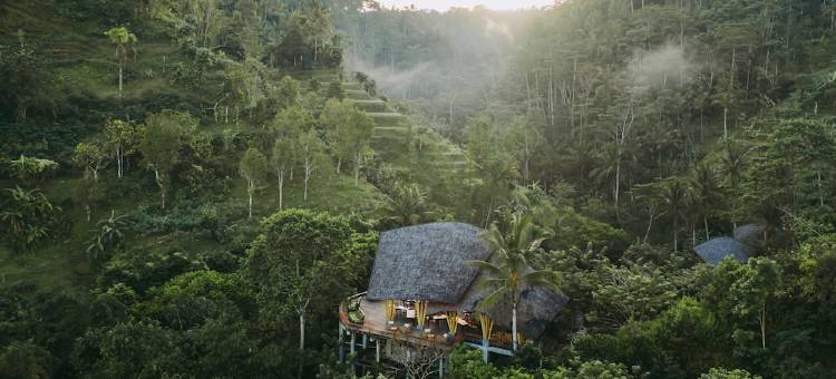 巴厘岛布罕悦榕逸境(Buahan, a Banyan Tree Escape)图片