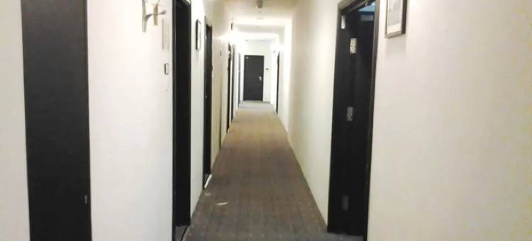 古晋多马尼酒店(Dormani Hotel Kuching)图片