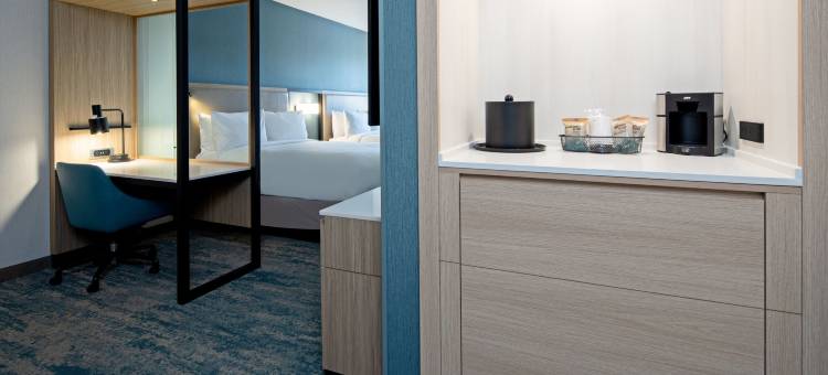 万豪Valencia SpringHill套房(SpringHill Suites Valencia)图片