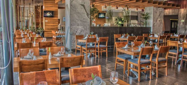 奎雷塔罗尊贵卡撒旅馆(Casa Inn Premium Hotel Queretaro)图片