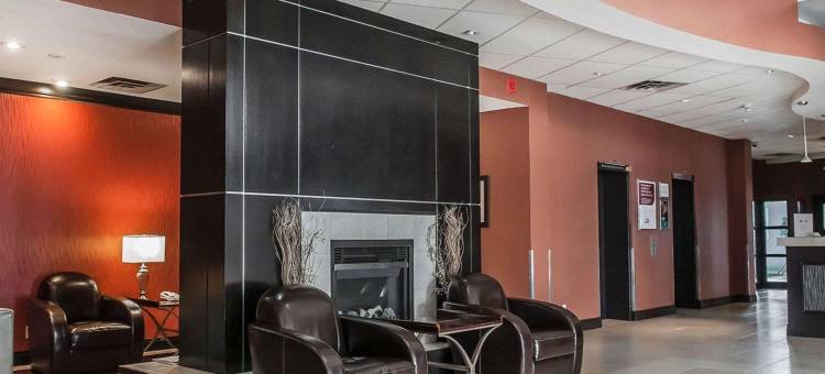 机场北舒适酒店(Comfort Hotel Airport North)图片