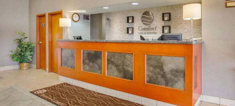 南部舒适酒店(Comfort Inn & Suites South)图片