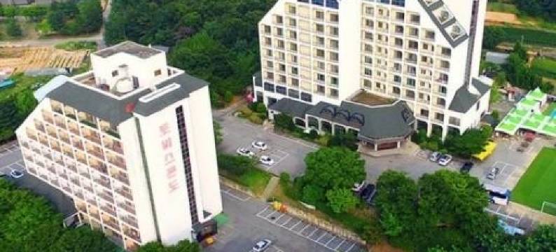 도고토비스콘도图片