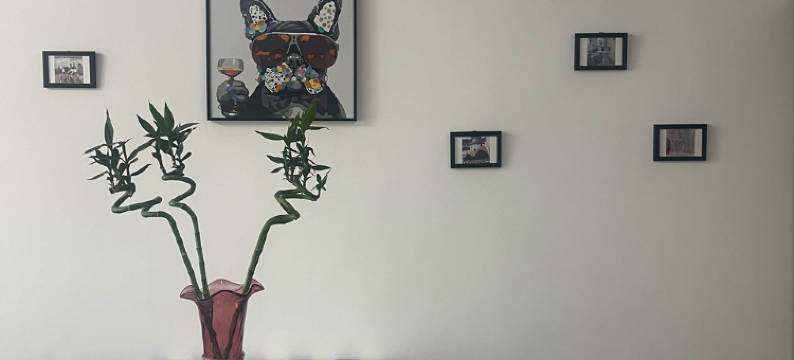 晓筑投影设计师民宿(薇乐大道分店)图片