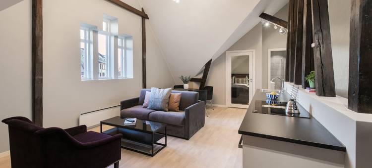 弗朗纳之家 - 比格迪街出租公寓(Frogner House - Bygdøy Allé)图片