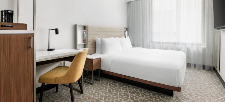 纽约曼哈顿／时代广场南 SpringHill Suites 酒店(SpringHill Suites New York Manhattan/Times Square South)图片