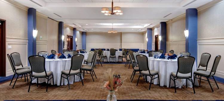 底特律大都会机场假日酒店(Holiday Inn Detroit Metro Airport)图片