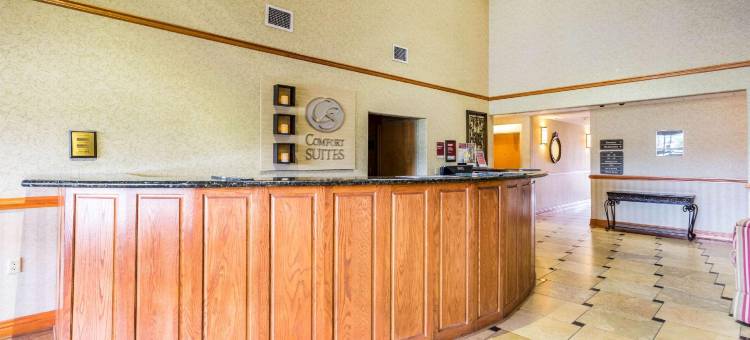 舒适套房酒店(Comfort Suites)图片