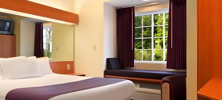 温德姆奥本恩的麦客达酒店(Microtel Inn & Suites by Wyndham Auburn)图片