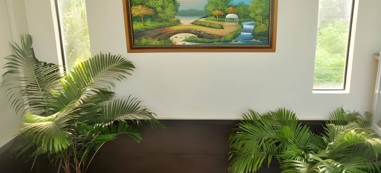 德里格斯酒店公寓(Driggs Pension House)图片