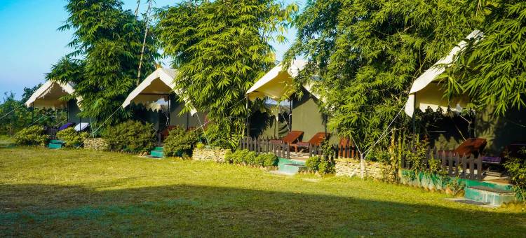 Samskara & Samsara图片