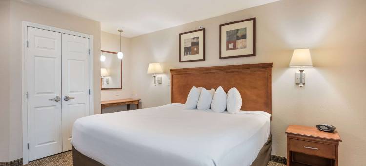 滑铁卢郊区开间公寓(Suburban Studios Waterloo)图片