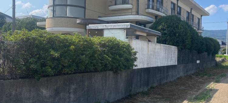 3980 yen Travel inn图片