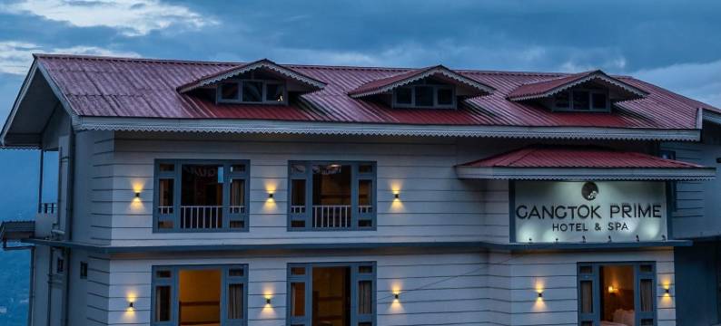 甘托克高级水疗酒店(Avianna Gangtok Prime Hotel & Spa)图片