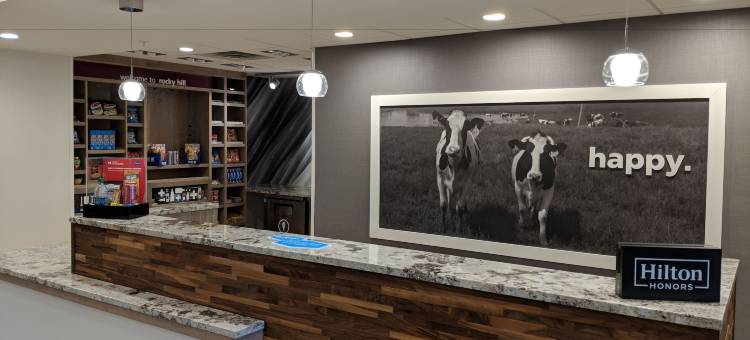 诺基山-哈特福德南欢朋套房酒店(Hampton Inn & Suites by Hilton Rocky Hill-Hartford South)图片