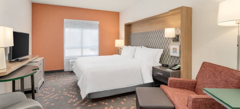 奥兰多国际大道主题公园智选假日套房酒店(Holiday Inn & Suites ORLANDO I-DRIVE - THEME PARKS by IHG)图片