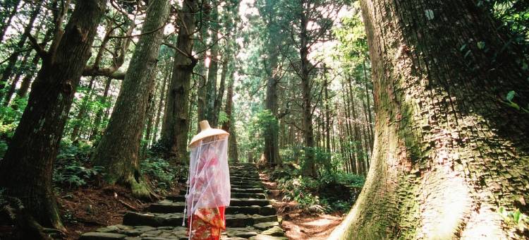 龟乃井酒店那智胜浦(KAMENOI HOTEL NACHI KATSUURA KUMANO KODO)图片